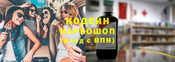 шишки Магас