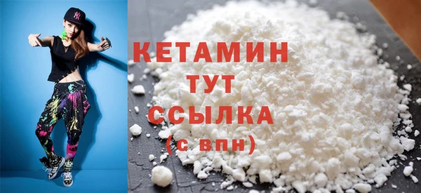 шишки Магас