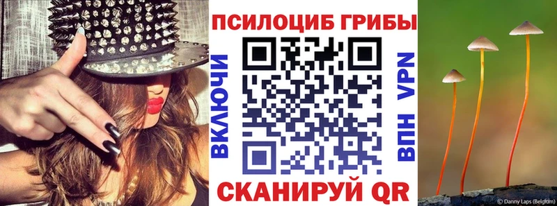 кракен маркетплейс Адыгейск Псилоцибиновые грибы ЛСД